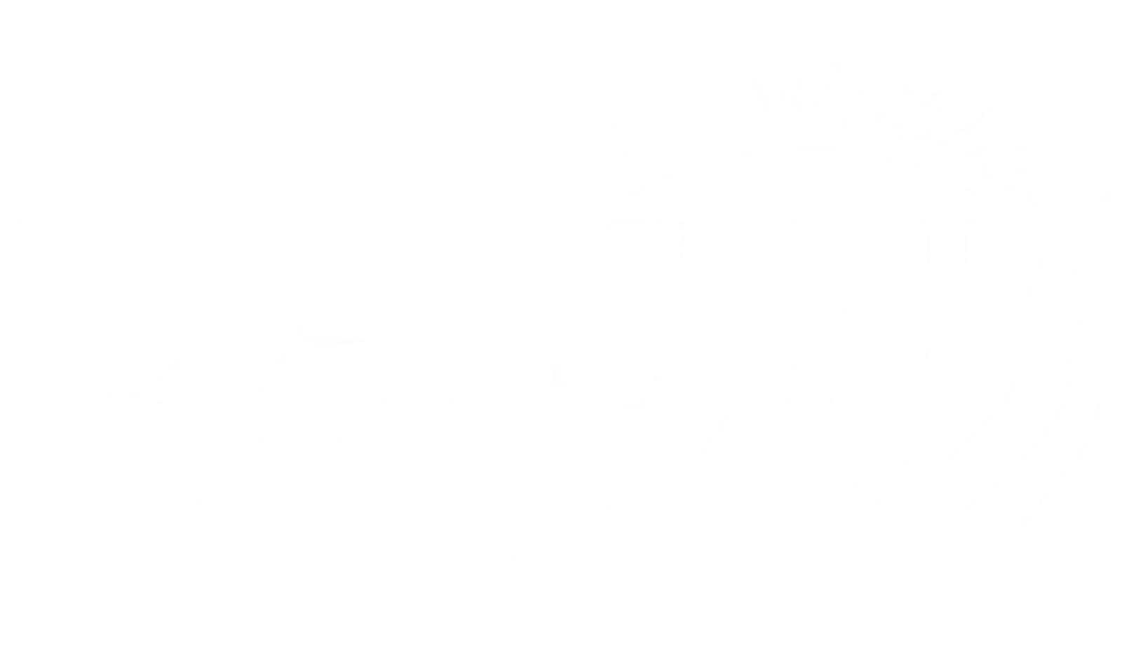 Lash Artistry By Nellie